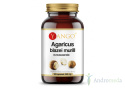 Agaricus - ekstrakt 10% polisacharydów - 90 kaps. Yango