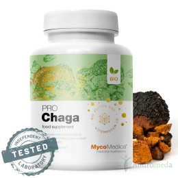 Chaga PRO 90 kapsułek Myco Medica
