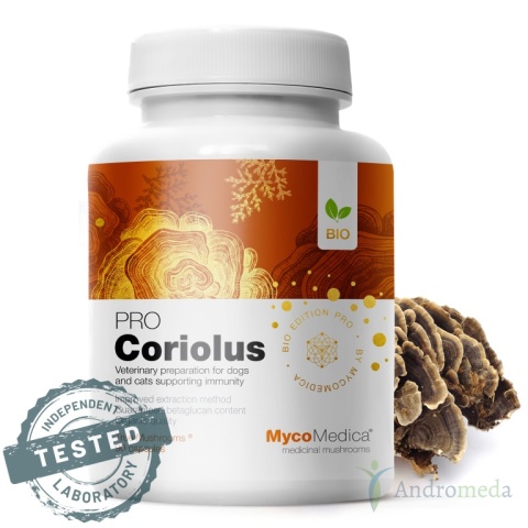 Coriolus PRO 90 kapsułek Myco Medica