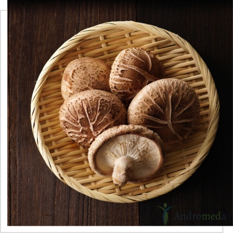 BIO Shiitake - Twardnik japoński - 100 g MYQO