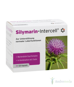 Silymarin-Intercell (wsparcie wątroby) 120 kapsułek, Intercell