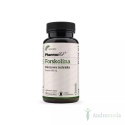 Forskolina Pokrzywa Indyjska 200mg 60 kapsułek