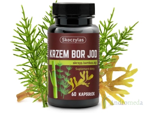 KRZEM BOR JOD skrzyp, bambus, algi - Skoczylas