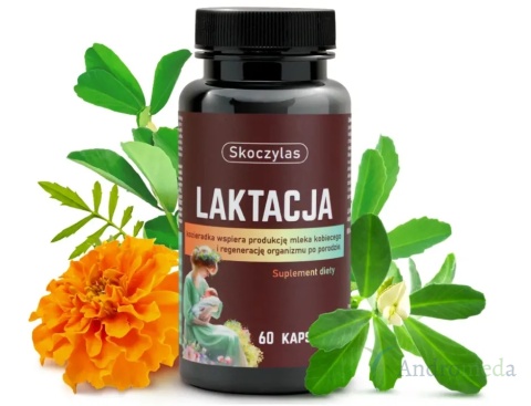 LAKTACJA dla kobiet karmiących - Skoczylas