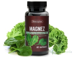 MAGNEZ 4 formy, witamina B6, szpinak, jarmuż - Skoczylas
