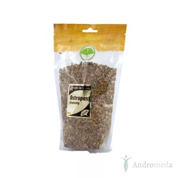 Ostropest Plamisty Ziarno 1kg Astron