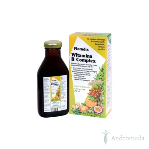 Zioło-Piast Witamina B Complex 250ml Floradix