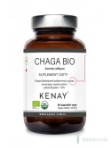 CHAGA BIO Inonotus obliquus (60 kapsułek) - suplement diety