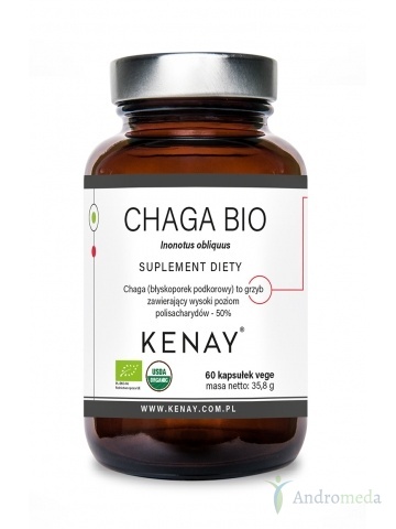 CHAGA BIO Inonotus obliquus (60 kapsułek) - suplement diety