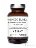 Ginkgo Biloba z Ginkgoselect® PLUS Indena Phytosome TM (60 kapsułek) - suplement diety