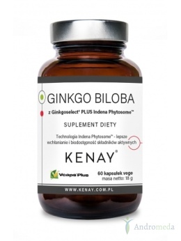 Ginkgo Biloba z Ginkgoselect® PLUS Indena Phytosome TM (60 kapsułek) - suplement diety