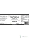 Ginkgo Biloba z Ginkgoselect® PLUS Indena Phytosome TM (60 kapsułek) - suplement diety