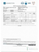 Ginkgo Biloba z Ginkgoselect® PLUS Indena Phytosome TM (60 kapsułek) - suplement diety