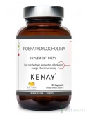 Fosfatydylocholina (60 kapsułek) - suplement diety
