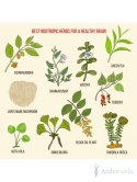 KSM-66 Ashwagandha® BIO (60 kapsułek)