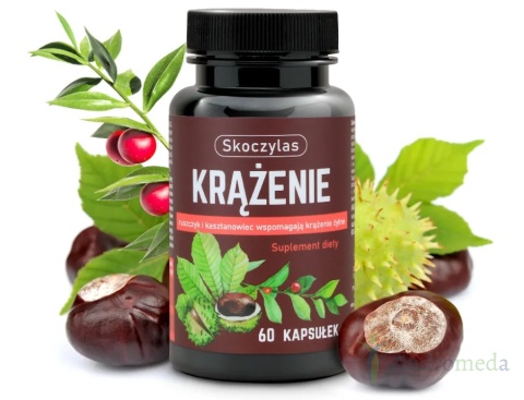 KRĄŻENIE ruszczyk, diosmina, kasztanowiec - Skoczylas
