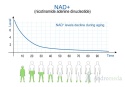 Resveratrol + NAD⁺ 500 mg - 60 kapsułek