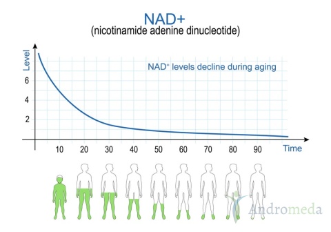 Resveratrol + NAD⁺ 500 mg - 60 kapsułek