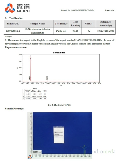 NAD+ 99% proszek, Dinukleotyd PODJĘZYKOWY, metabolit NMN 100g