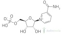 NMN Mononukleotyd PURE, 100% czysty proszek 50g