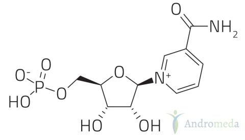 NMN Mononukleotyd PURE, 100% czysty proszek 50g