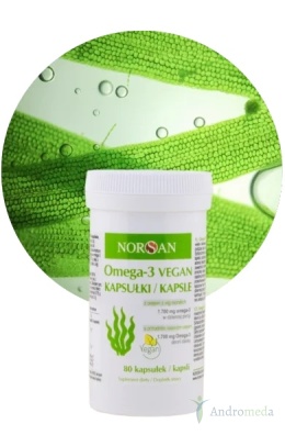 NORSAN Omega-3 Vegan 80 kapsułek
