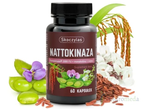 NATTOKINAZA Fermokinase® 2000 FU + monakolina + rutyna - Skoczylas