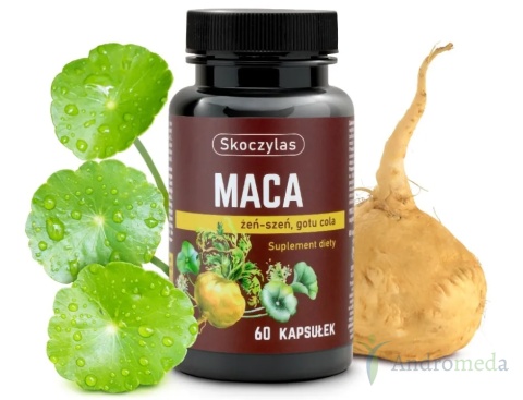 MACA żeń-szeń, gotu cola - Skoczylas