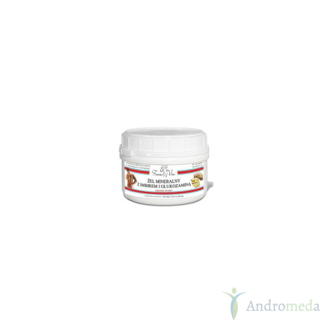 Żel Mineralny z Imbirem i Glukozaminą 350g