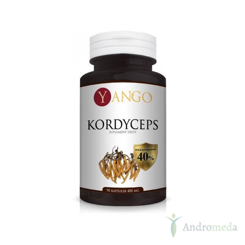 Kordyceps - ekstrakt 40% polisacharydów - 90 kapsułek