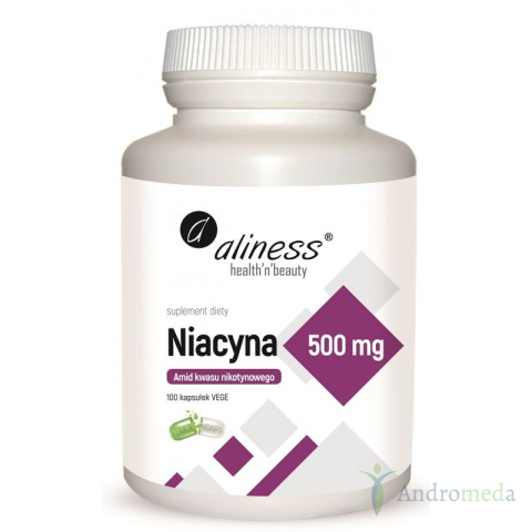 Niacyna 500mg 100 kaps Wit B3 Alines