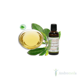Olej z Zielonej Herbaty 50 ml macerat