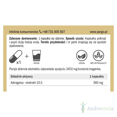 Traganek - ekstrakt 10:1 Yango - 100 kaps