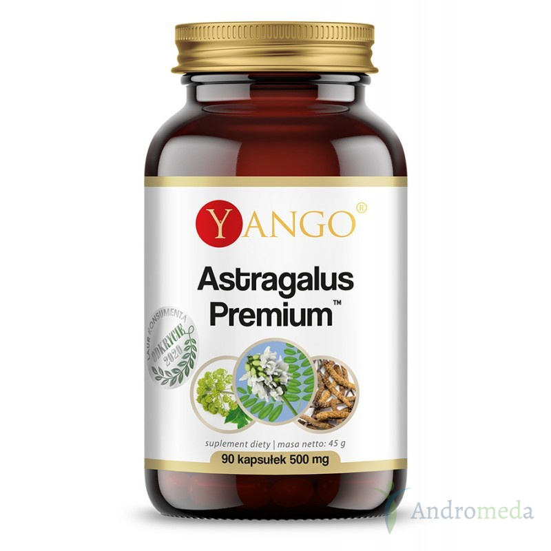 Astragalus Premium 90 kapsułek Yango