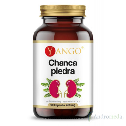 Chanca Piedra 90 kapsułek Yango