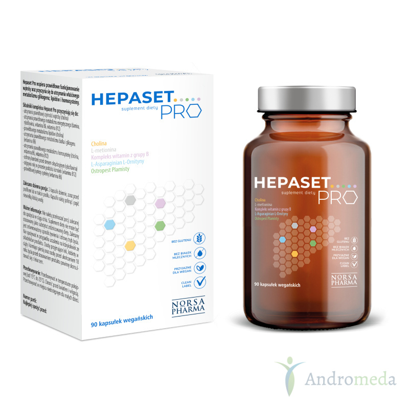 Hepaset Pro 90 kapsułek Norsa Pharma