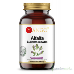 Alfalfa - Lucerna siewna - 60 kapsułek Yango