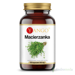 Macierzanka - ekstrakt - 90 kapsułek Yango