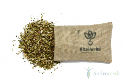 Jeżówka purpurowa echinacea 50g EkoHerba