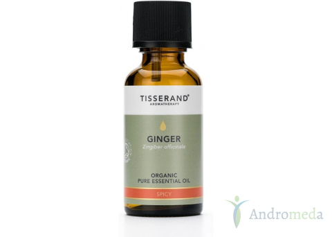 Ginger Organic - Olejek z Imbiru (30 ml) Tisserand