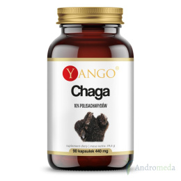 Chaga - ekstrakt 40% polisacharydów - 90 kapsułek