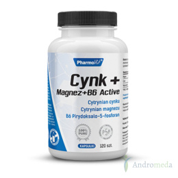 Cynk + Magnez + B6 Active 120 kapsułek Pharmovit